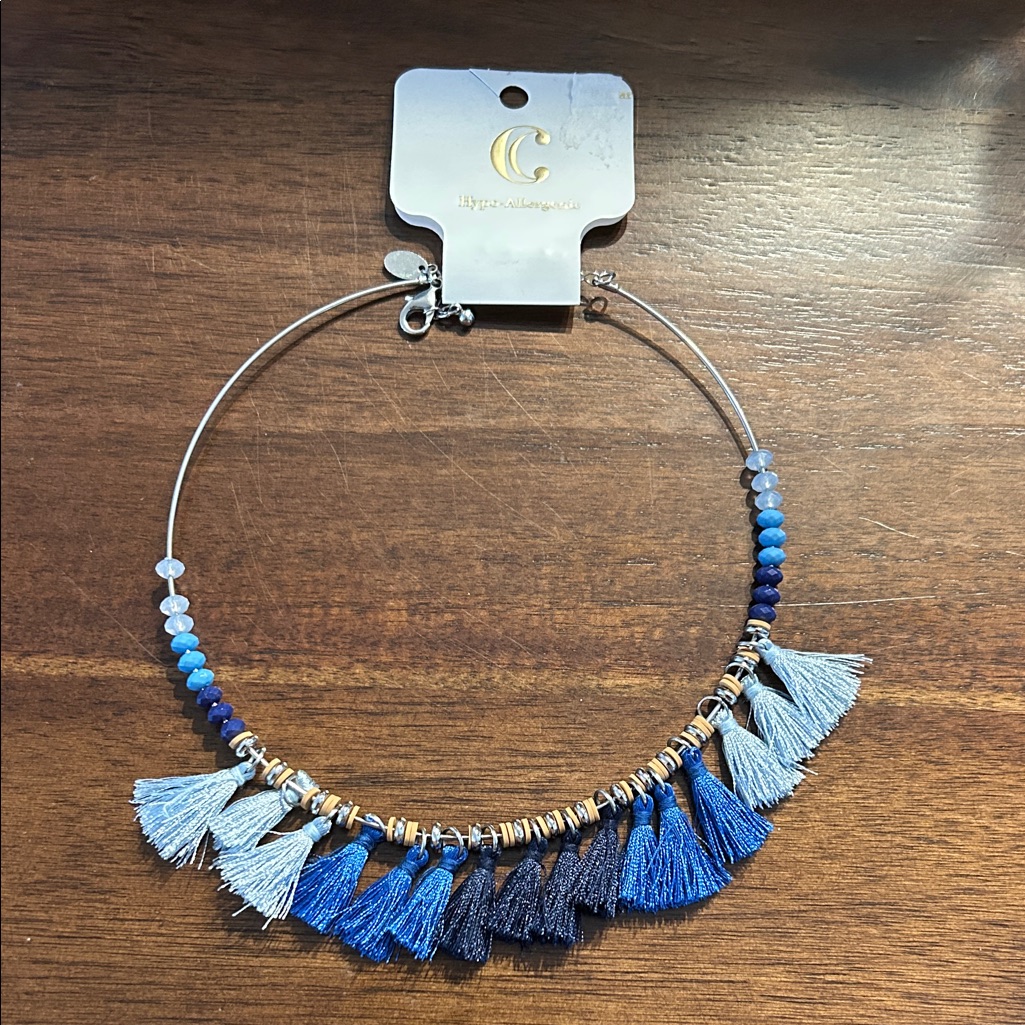 Charming Charlie Blue And Silver Tassel Necklace